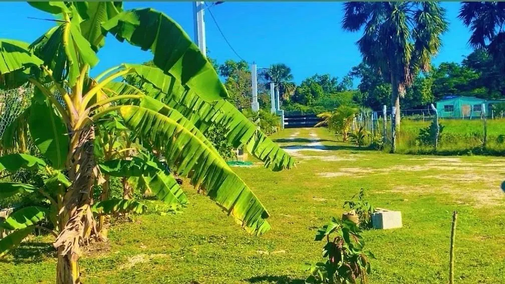 Sanxai Bnb- Homestay Pond Side جامايكا
