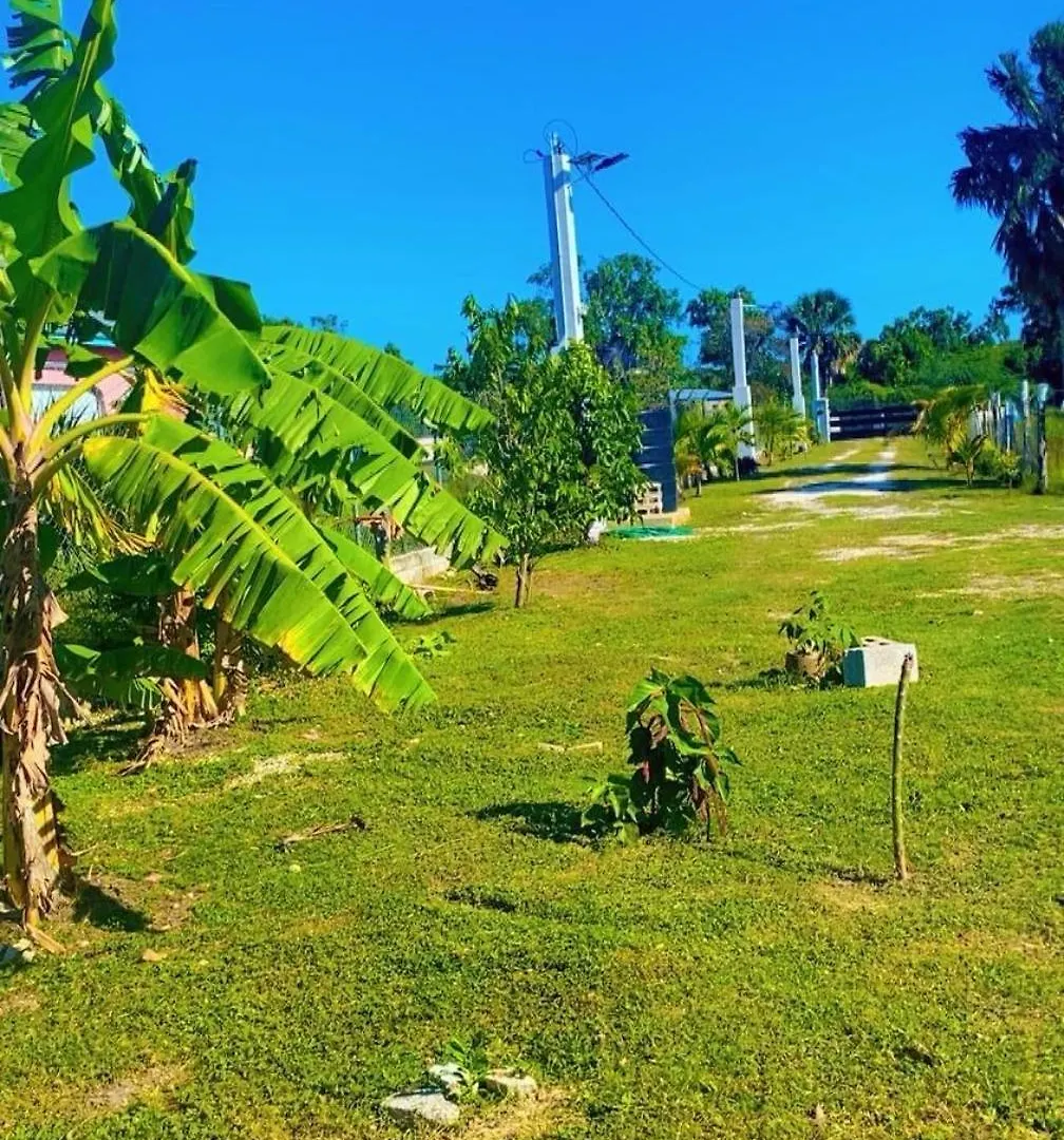 Sanxai Bnb- Homestay Pond Side